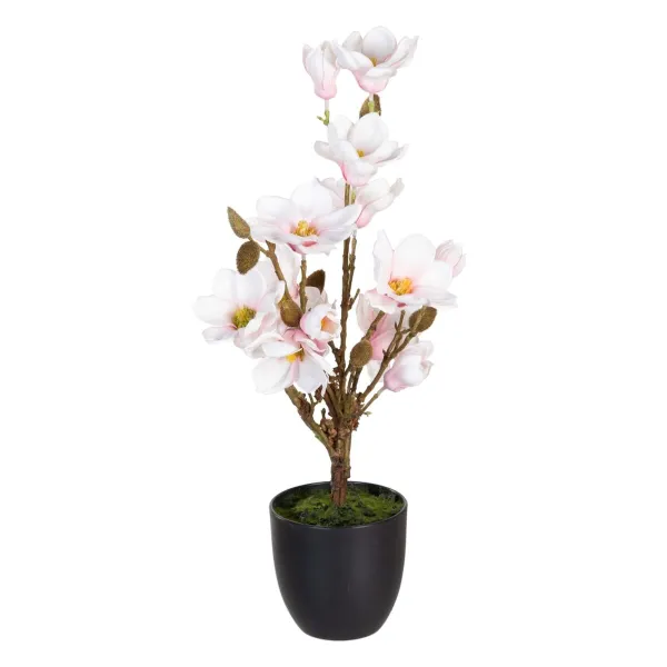 Dekoratyvinis augalas Poliesteris Polietilenas Geležis 30 x 30 x 60 cm Magnolia