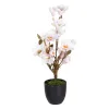 Dekoratyvinis augalas Poliesteris Polietilenas Geležis 30 x 30 x 60 cm Magnolia