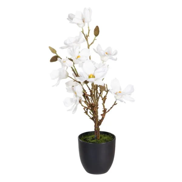 Dekoratīvs Augs Poliesters Polietilēns Dzelzs 30 x 30 x 60 cm Magnolia