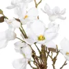 Dekoratīvs Augs Poliesters Polietilēns Dzelzs 30 x 30 x 60 cm Magnolia