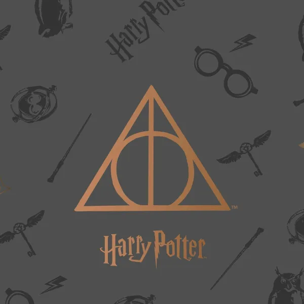 постельное покрывало Harry Potter Deathly Hallows Разноцветный кровать 150 cm