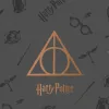 Gultas pārklājs (sega) Harry Potter Deathly Hallows Daudzkrāsains Gulta 150 cm