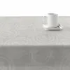 Dėmėms atspari derva dengta staltiesė Belum 0400-80 Spalvotas 300 x 150 cm
