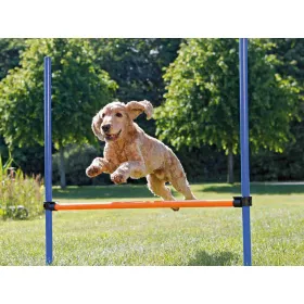 Training toy Trixie