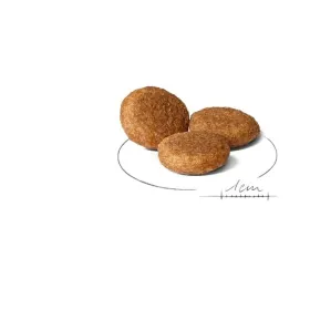 Lopbarība Royal Canin Putni 15 kg 12 kg