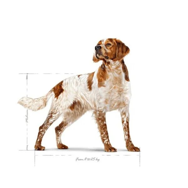 Фураж Royal Canin птицы 15 kg 12 kg