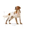 Rehu Royal Canin Linnut 15 kg 12 kg