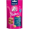 Snack for Cats Vitakraft Cat Yums Salmon Рыба 40 g