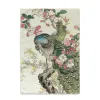 Drabužių rinkinys HappyFriday Spalvotas 70 x 50 cm Japonų (2 Dalys)