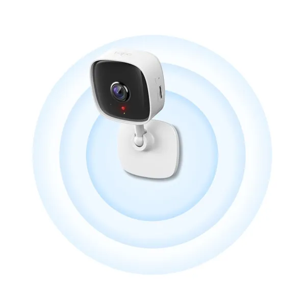 IP camera TP-Link C100