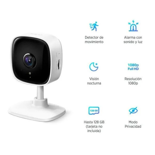 IP camera TP-Link C100