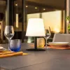 Светодиодная лампа Lumisky Standy Mini Dark Чёрный