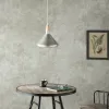 Pakabinamas apšvietimas Alexandra House Living Sidabras