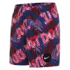 Детский Плавки Nike NESSB795-629 Красный