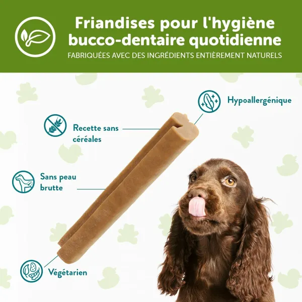 Dog Snack Whimzees Puppy XS/S Vegetables