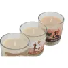 Aromatizuota žvakė Home ESPRIT Miesto 60 g (3 vnt.)