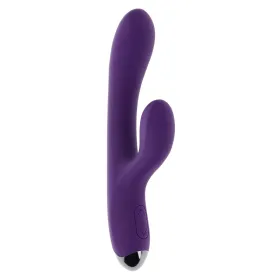 Divkārši Stimulējošs Vibrators Evolved Playboy Violets