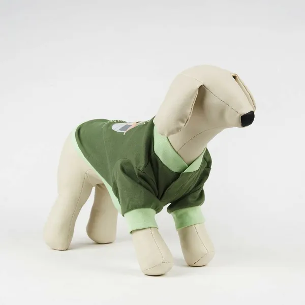 Dog Pyjamas The Mandalorian Žalia