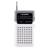 Портативное радио Blaupunkt PR4WH Серый