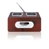 Radijas Blaupunkt PP5BR Medžio
