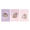 Pusheen - Set of A5 notebooks from the Moments collection, 3 pcs.