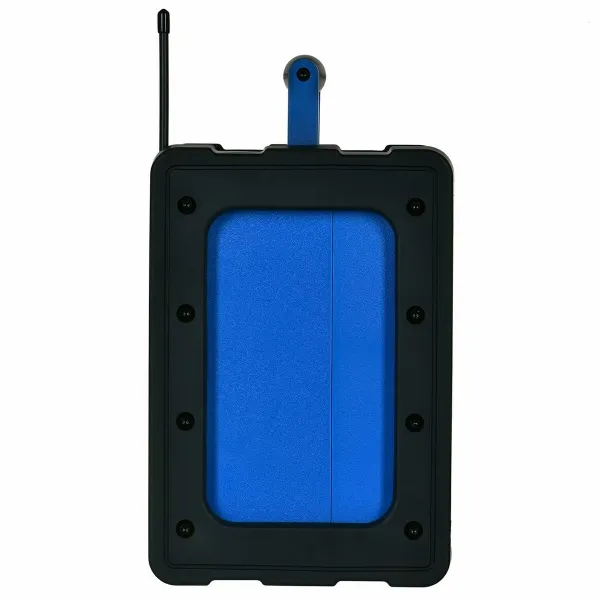 Radio Blaupunkt PP30BT Sininen Musta
