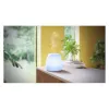 Essential Oil Diffuser Pranarôm Joy Ultrasonic Glass LED