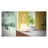 Essential Oil Diffuser Pranarôm Joy Ultrasonic Glass LED