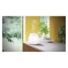 Essential Oil Diffuser Pranarôm Joy Ultrasonic Glass LED