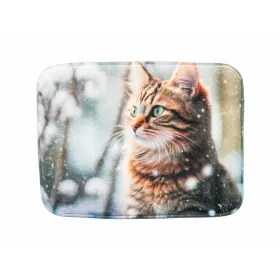 Matt Trixie 40 x 30 cm Kass