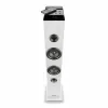 Portable Bluetooth Speakers NGS SKYCHARM PRO 50W