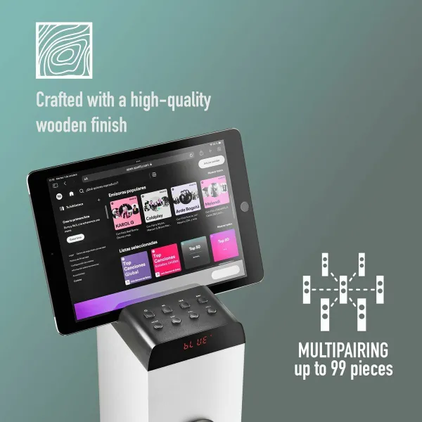 Portable Bluetooth Speakers NGS SKYCHARM PRO 50W