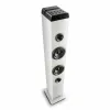 Portable Bluetooth Speakers NGS SKYCHARM PRO 50W