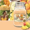 Aromātiska svece Yankee Candle 10.00115.0543