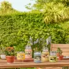Aromatizuota žvakė Yankee Candle 10.00114.0846