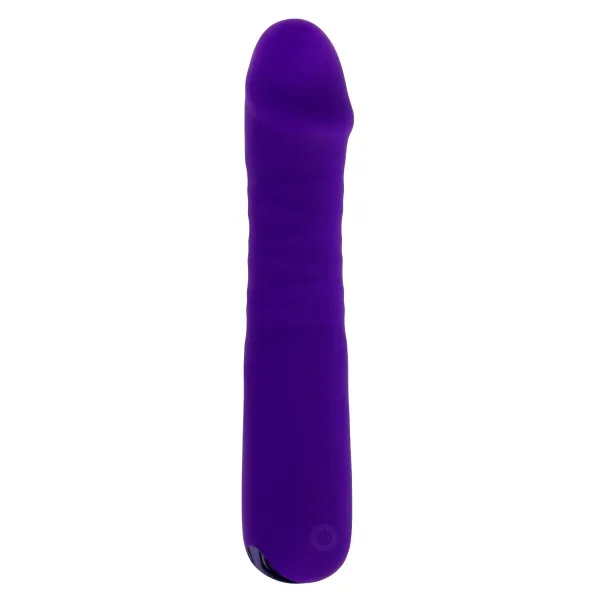 Classic Vibrator Evolved Selopa Purple
