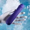 Classic Vibrator Evolved Selopa Purple