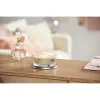 Aromatizuota žvakė Yankee Candle Amber & Sandalwood 340 g
