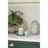 Tuoksukynttilä Yankee Candle Aloe & Agave 368 g