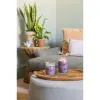 Aromātiska svece Yankee Candle Stargazing 567 g