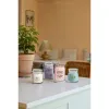 Scented Candle Yankee Candle Stargazing 567 g