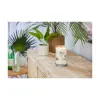 Aromātiska svece Yankee Candle Wild Orchid 567 g