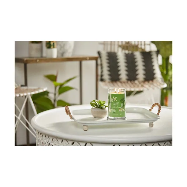Aromatizuota žvakė Yankee Candle Vanilla Lime  567 g