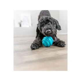 Игрушка для собак Trixie Super Strong Синий