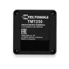 GPS navigator Teltonika TMT250