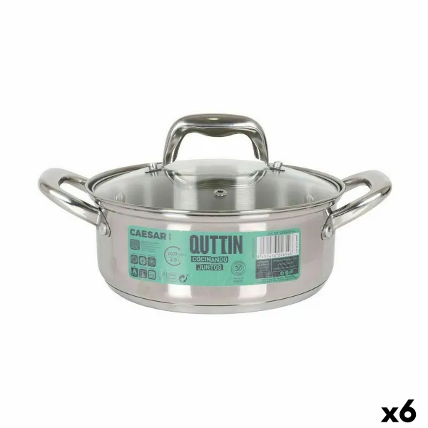 Кастрюля со стеклянной крышкой Quttin Caesar ø 20 x 8 cm Сталь (6 штук)