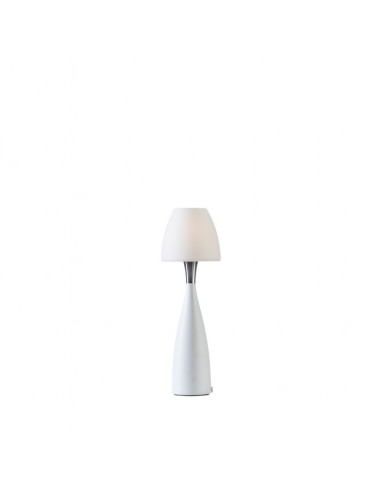 Anemon table lamp D125 opal glass G9