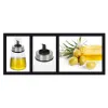 Menāža Quttin Caurspīdīgs Sudrabains Stikls 200 ml 6,5 x 6,5 x 12,5 cm (12 gb.)