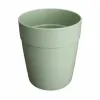 Klaas Dem Inside Plastmass 330 ml (48 Ühikut)