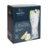 Lasisetti Inde Santa Clara Borosilikaattilasi 400 ml 2 Kappaletta